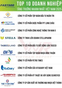 Danh sách Top 10 Bảng xếp hạng FAST500 năm 2025